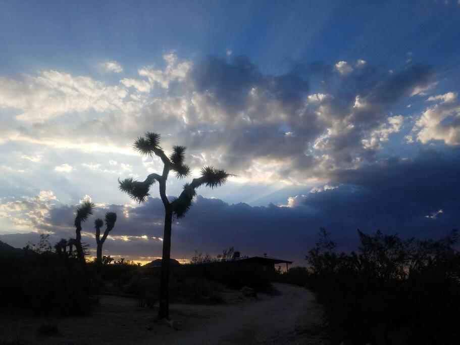 Steph'S Panorama Paradise-Nat'L Park Minutes Away ジョシュア・ツリー エクステリア 写真