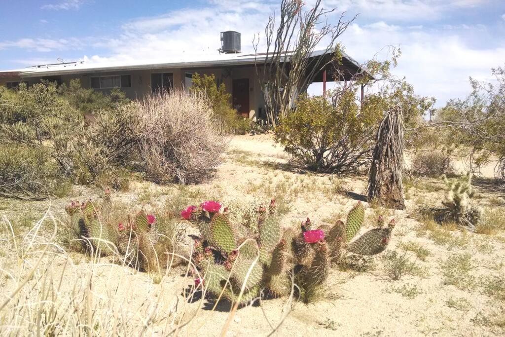 Steph'S Panorama Paradise-Nat'L Park Minutes Away ジョシュア・ツリー エクステリア 写真