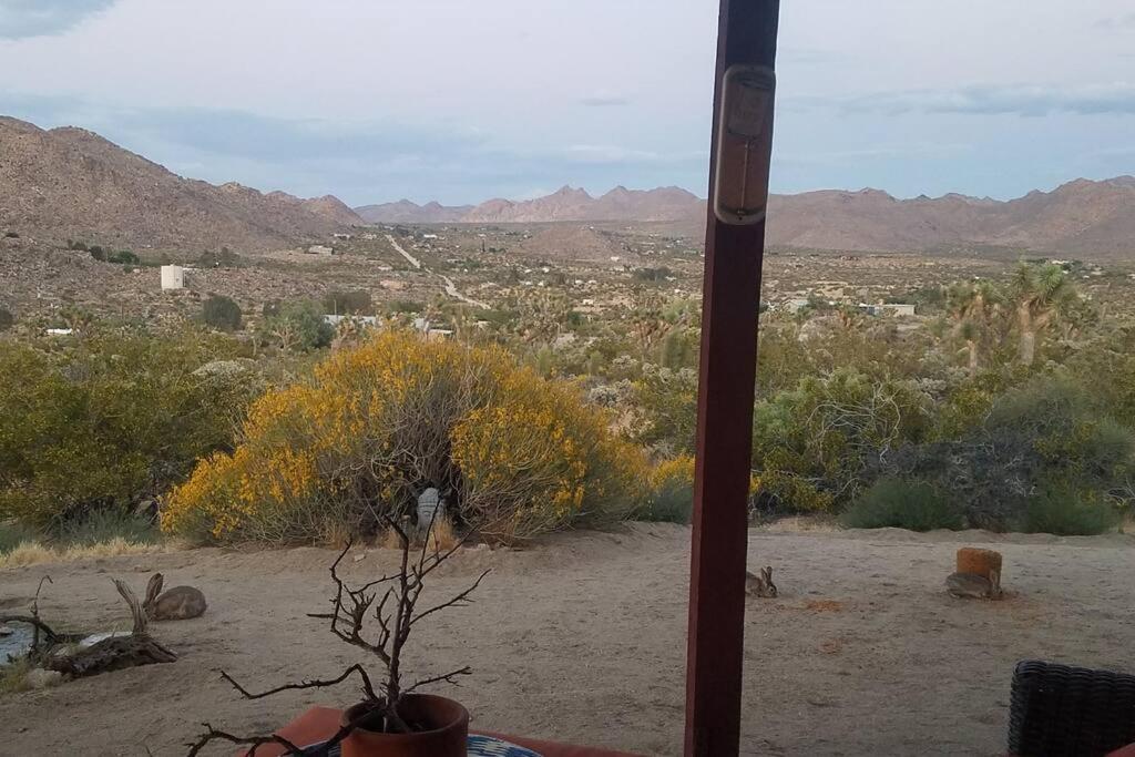 Steph'S Panorama Paradise-Nat'L Park Minutes Away ジョシュア・ツリー エクステリア 写真