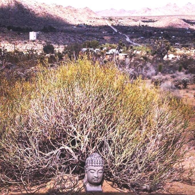 Steph'S Panorama Paradise-Nat'L Park Minutes Away ジョシュア・ツリー エクステリア 写真
