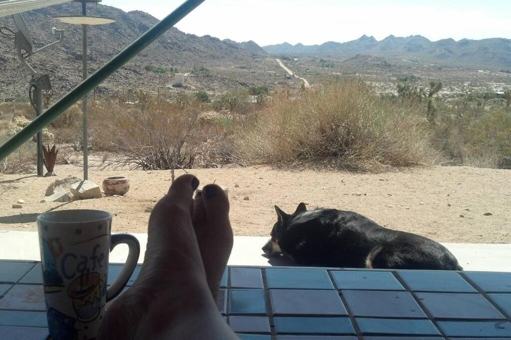 Steph'S Panorama Paradise-Nat'L Park Minutes Away ジョシュア・ツリー エクステリア 写真