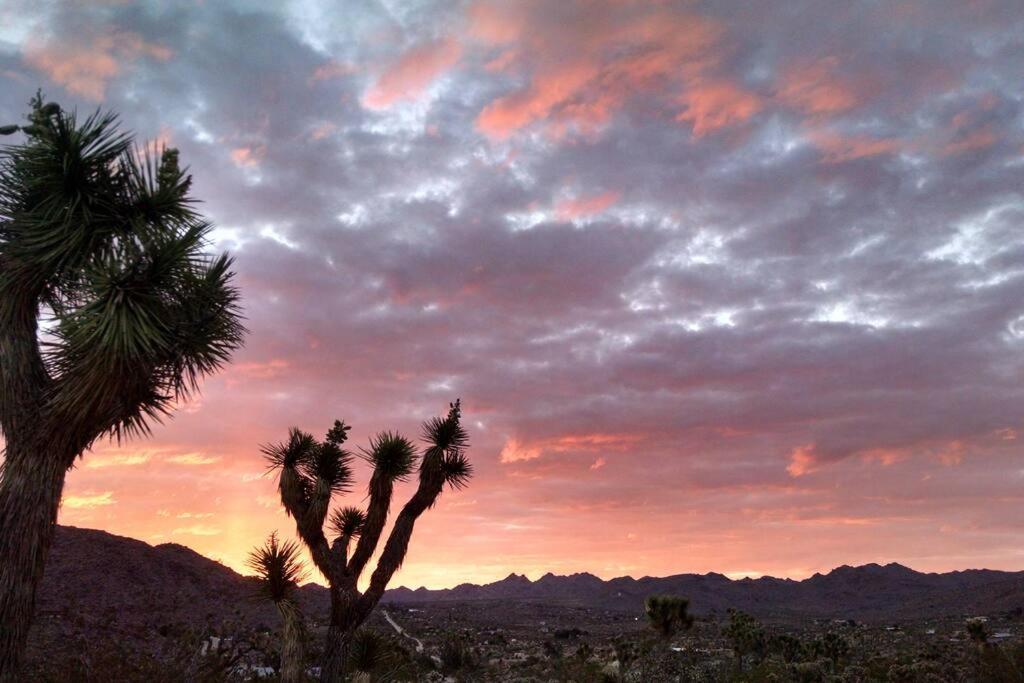 Steph'S Panorama Paradise-Nat'L Park Minutes Away ジョシュア・ツリー エクステリア 写真