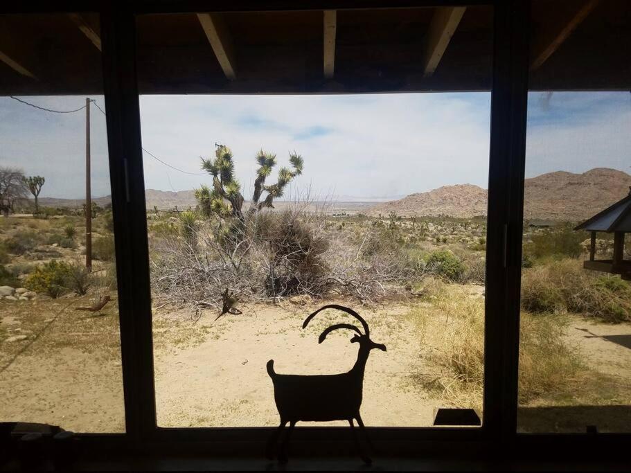 Steph'S Panorama Paradise-Nat'L Park Minutes Away ジョシュア・ツリー エクステリア 写真