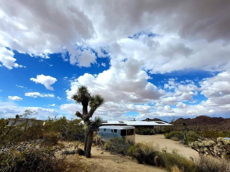 Steph'S Panorama Paradise-Nat'L Park Minutes Away ジョシュア・ツリー エクステリア 写真